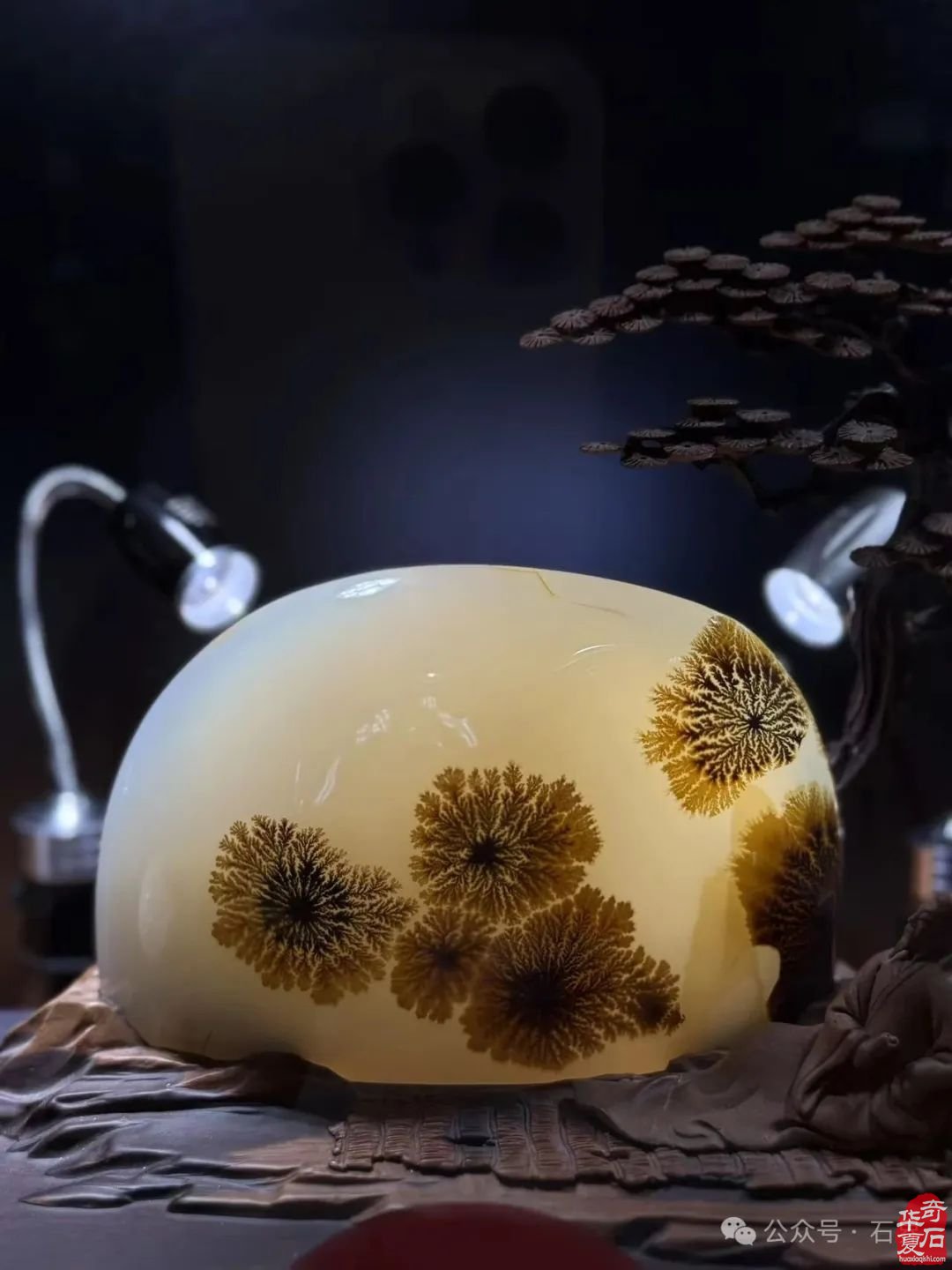 热烈祝贺天雕艺术专业委员会成立