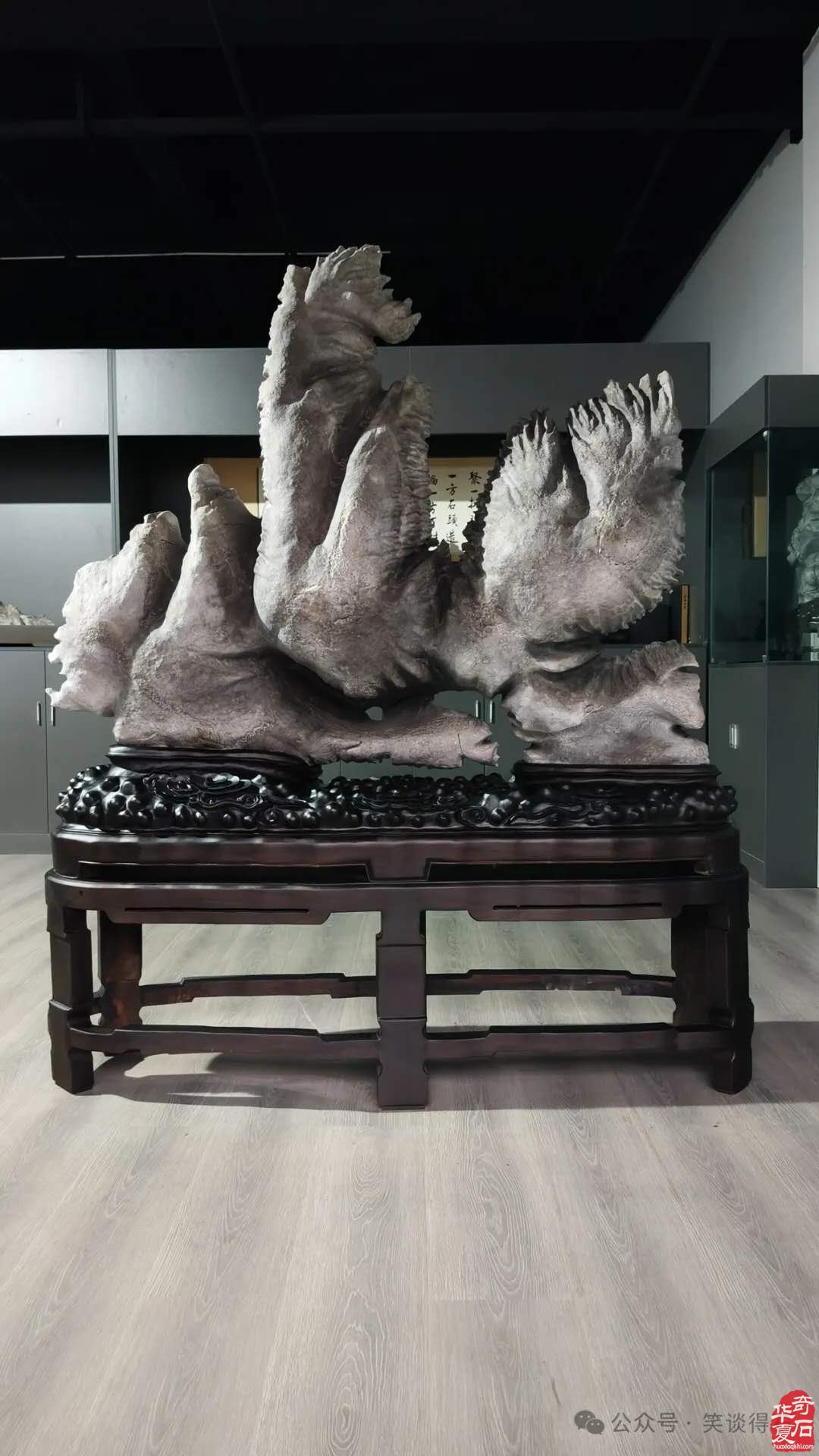 欣赏石界俏佳丽贵州乌蒙磬石