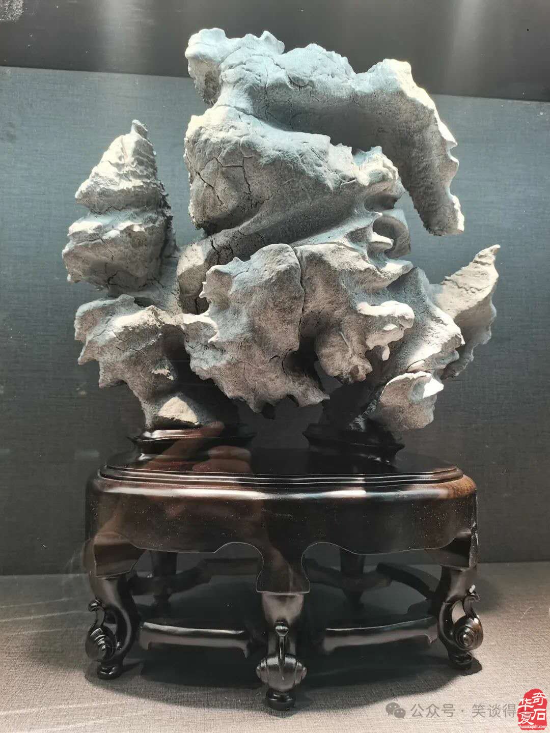 欣赏石界俏佳丽贵州乌蒙磬石