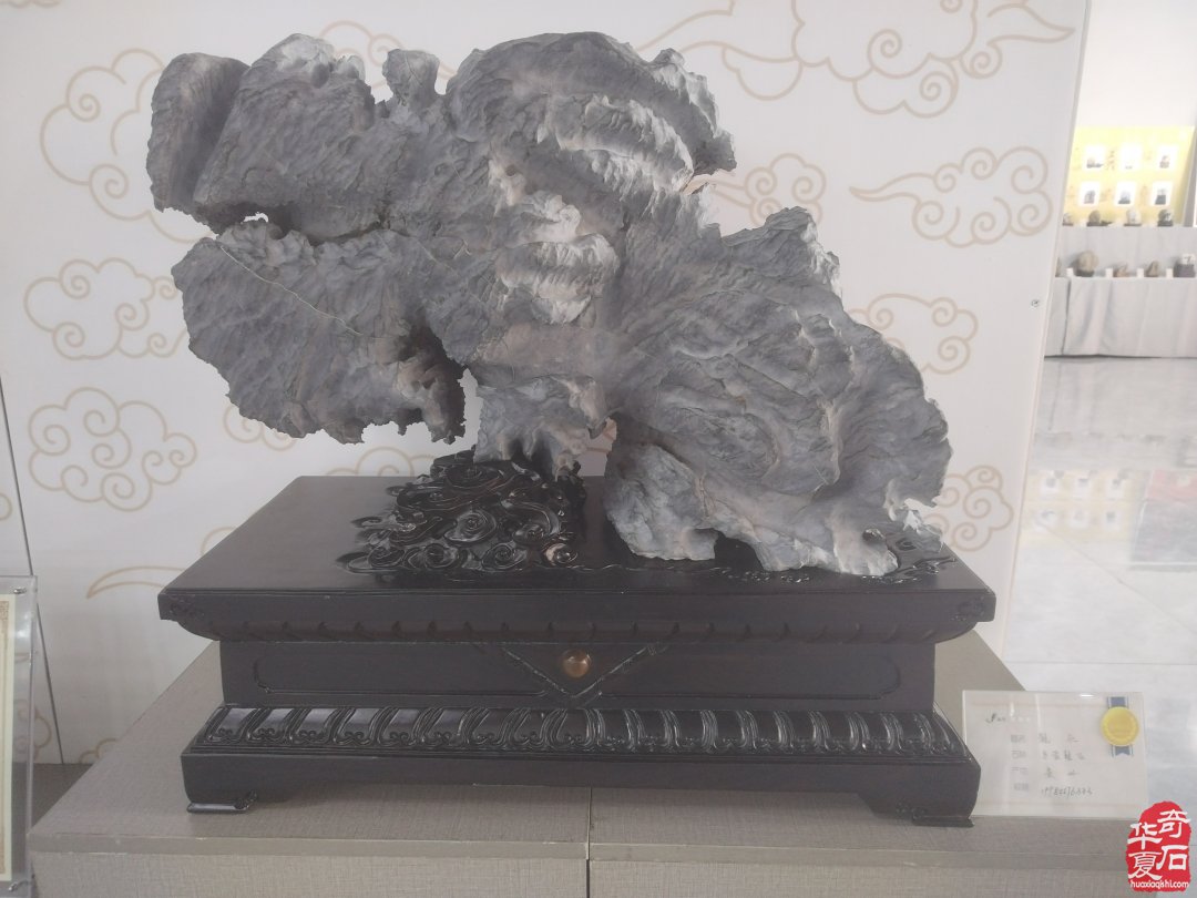 欣赏石界俏佳丽贵州乌蒙磬石
