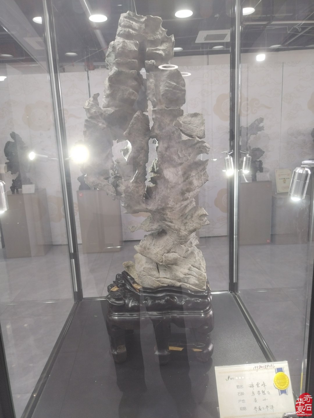 欣赏石界俏佳丽贵州乌蒙磬石