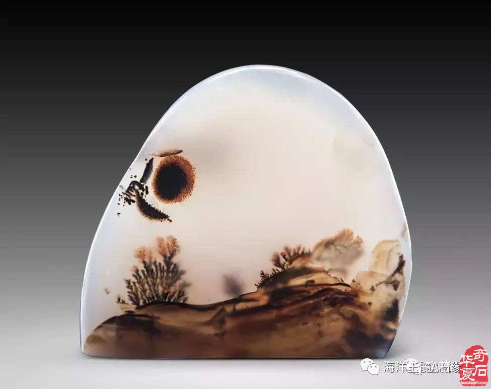 海洋玉髓—不再是被低估的玉石