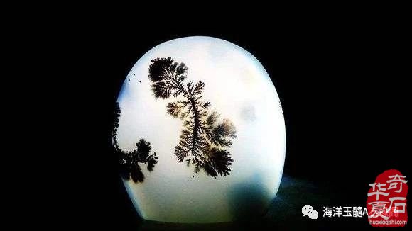 海洋玉髓—不再是被低估的玉石