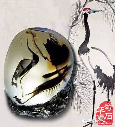 海洋玉髓—不再是被低估的玉石