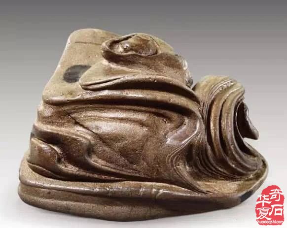 奇石界的“暗流涌动”:奖杯背后的真相与呼唤