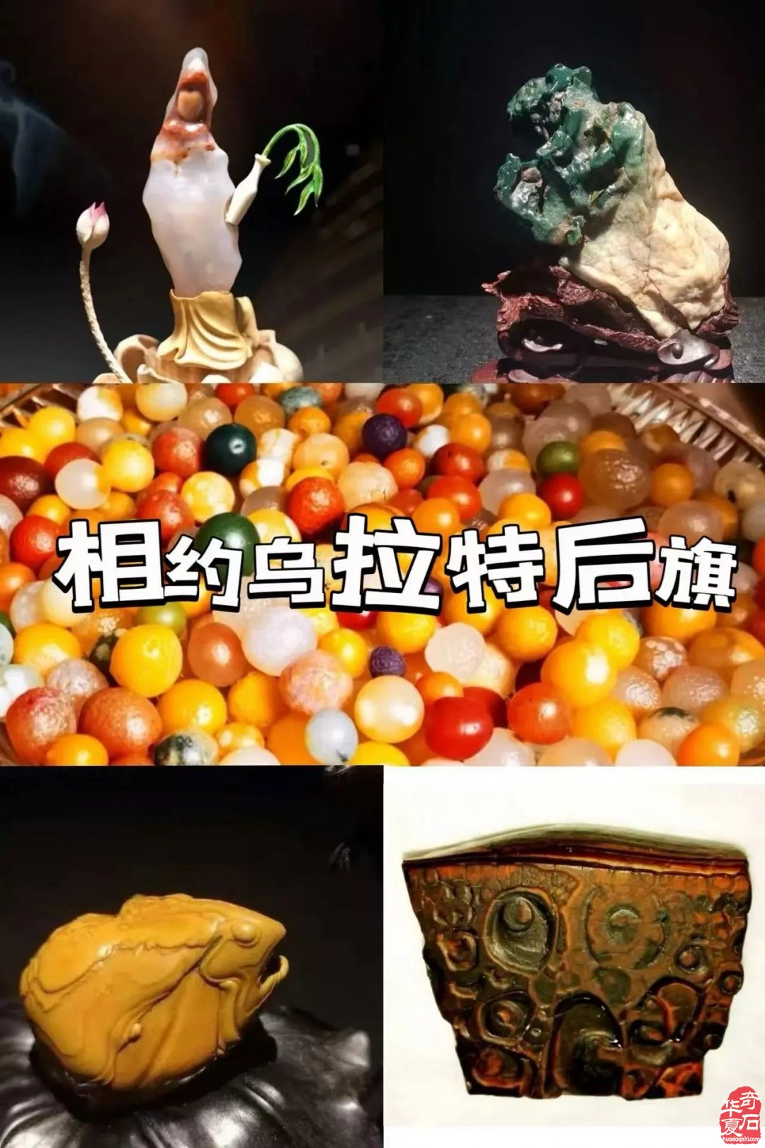 乌拉特后旗石博会追风而来 | 展讯更新