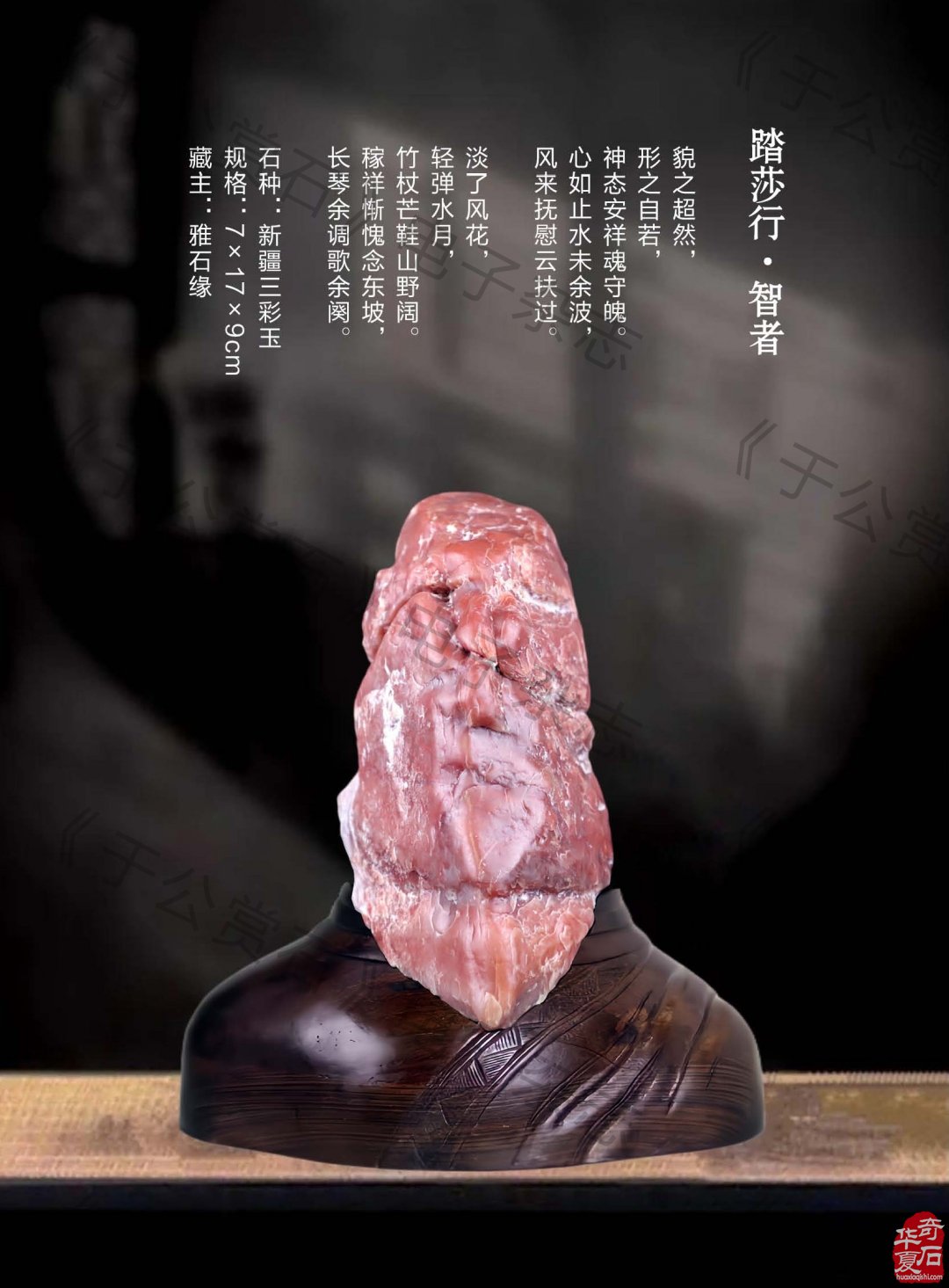 《于公赏石》盛赞石友云集的赏石盛会嗨翻初夏