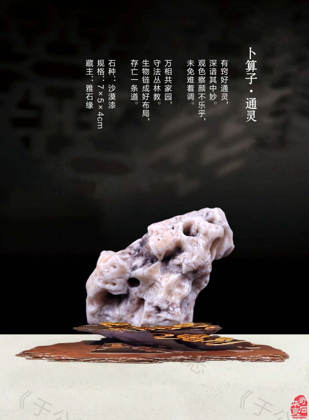 《于公赏石》盛赞石友云集的赏石盛会嗨翻初夏