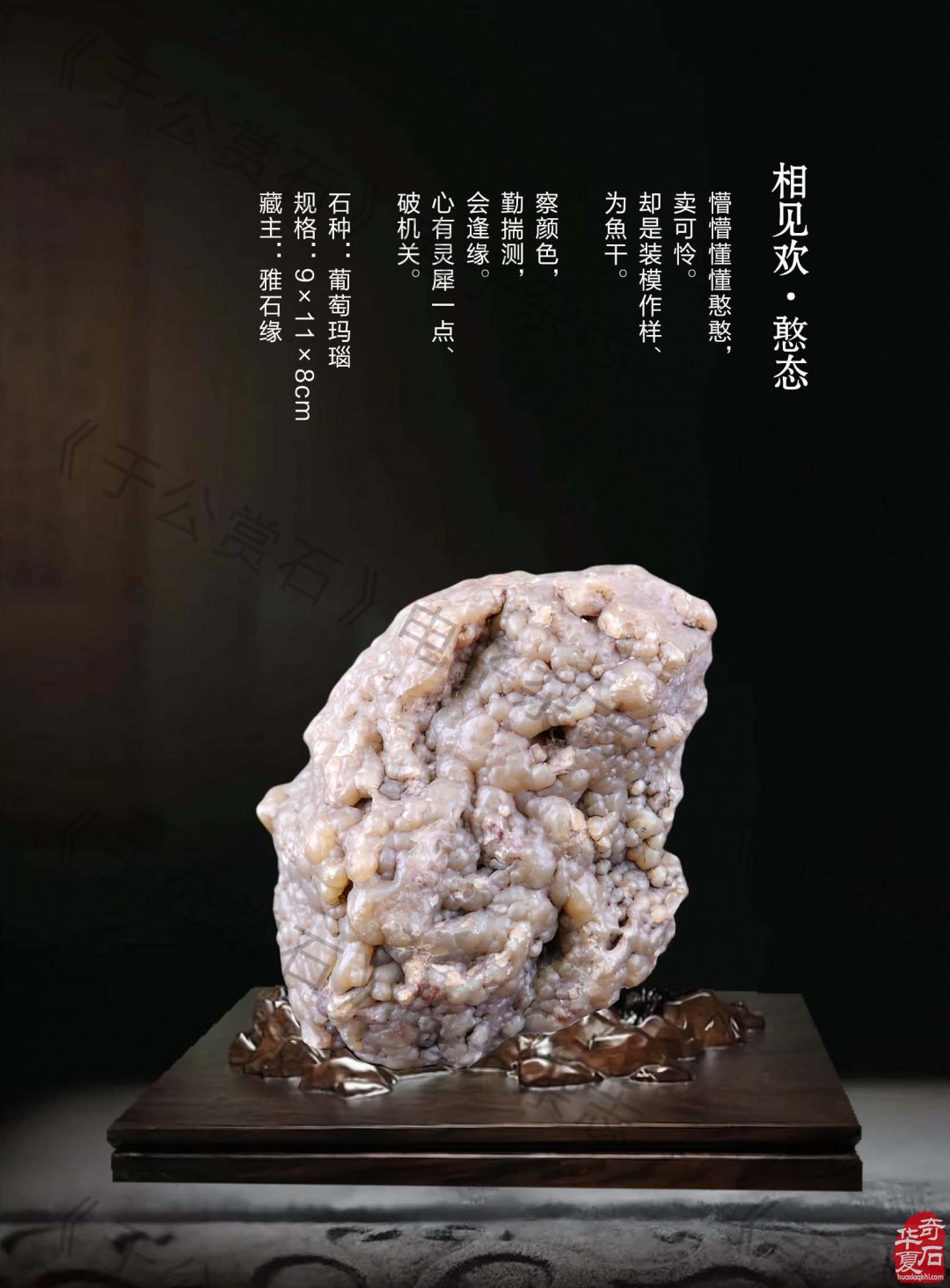 《于公赏石》盛赞石友云集的赏石盛会嗨翻初夏