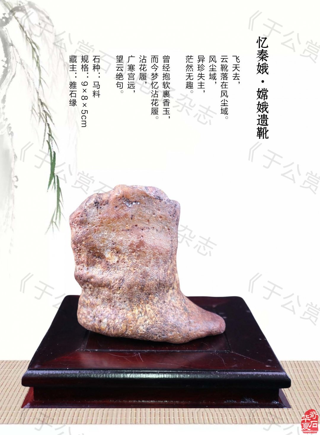 《于公赏石》盛赞石友云集的赏石盛会嗨翻初夏