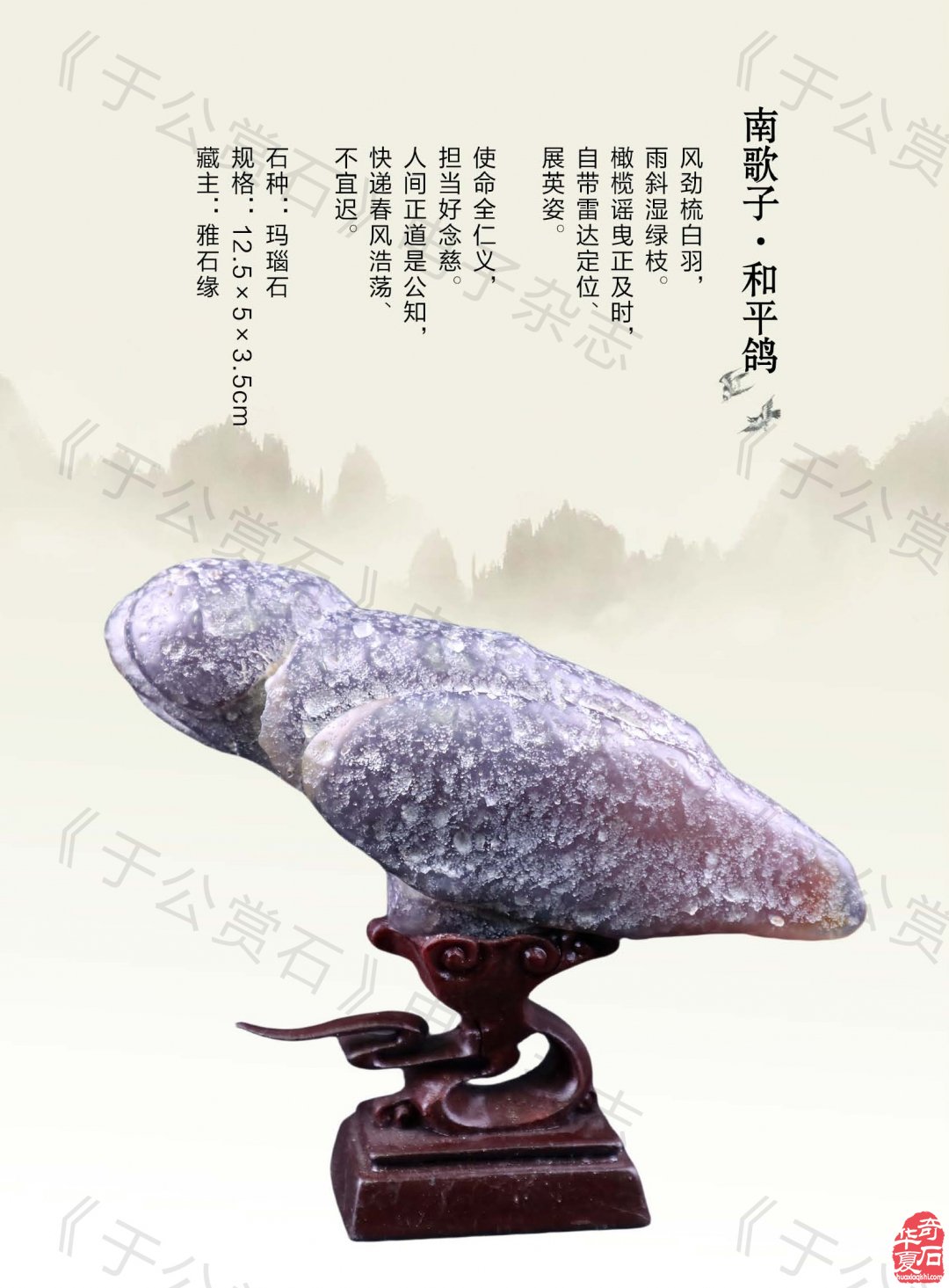 《于公赏石》盛赞石友云集的赏石盛会嗨翻初夏