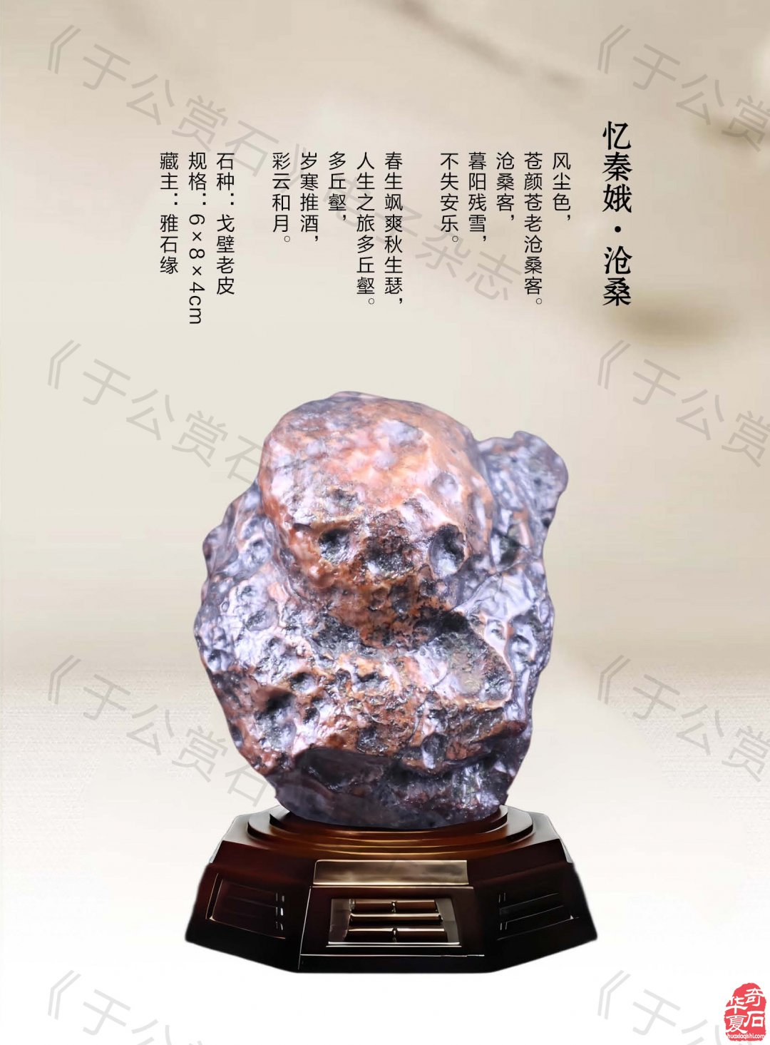 《于公赏石》盛赞石友云集的赏石盛会嗨翻初夏