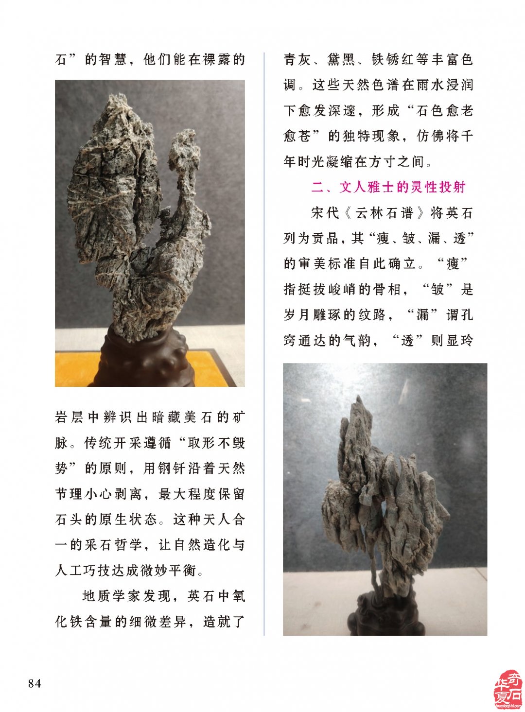 《于公赏石》盛赞石友云集的赏石盛会嗨翻初夏