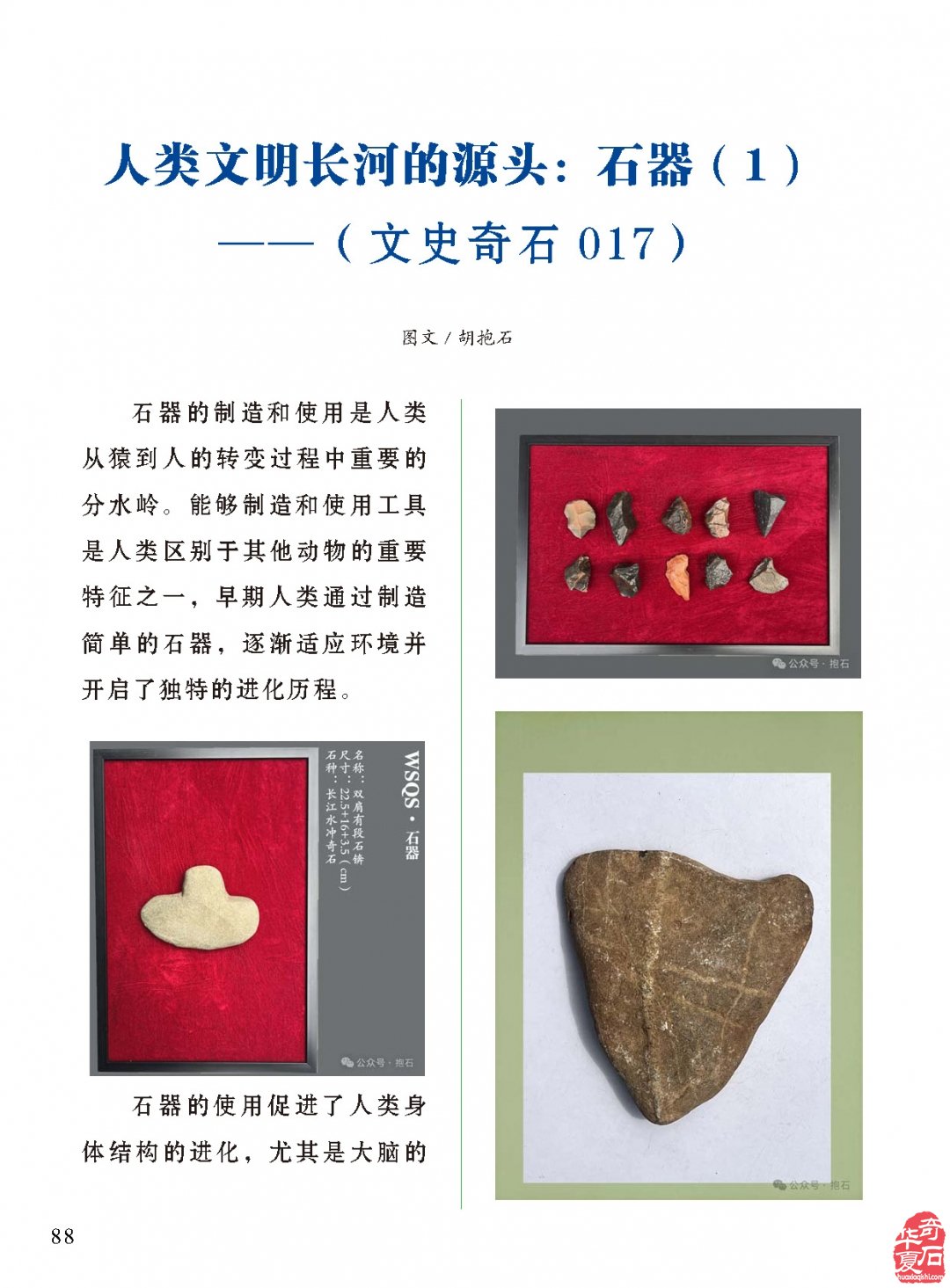 《于公赏石》盛赞石友云集的赏石盛会嗨翻初夏