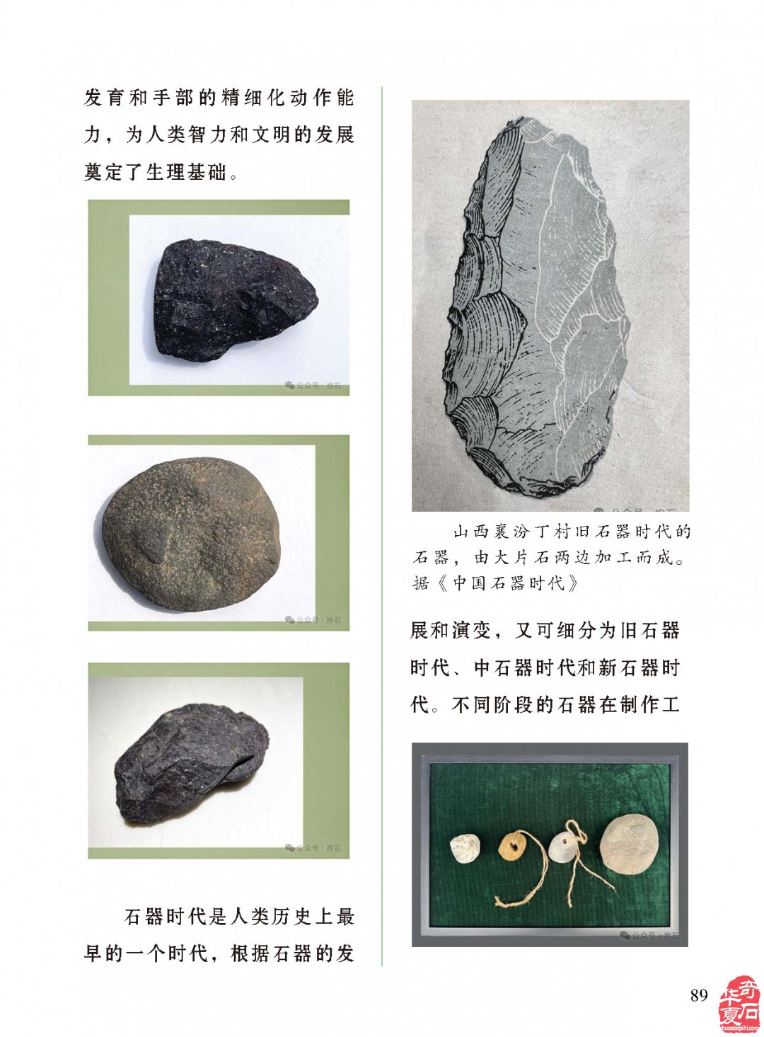 《于公赏石》盛赞石友云集的赏石盛会嗨翻初夏