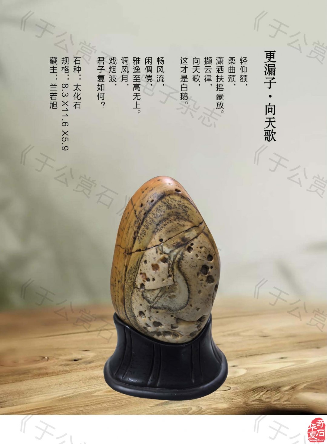 《于公赏石》盛赞石友云集的赏石盛会嗨翻初夏