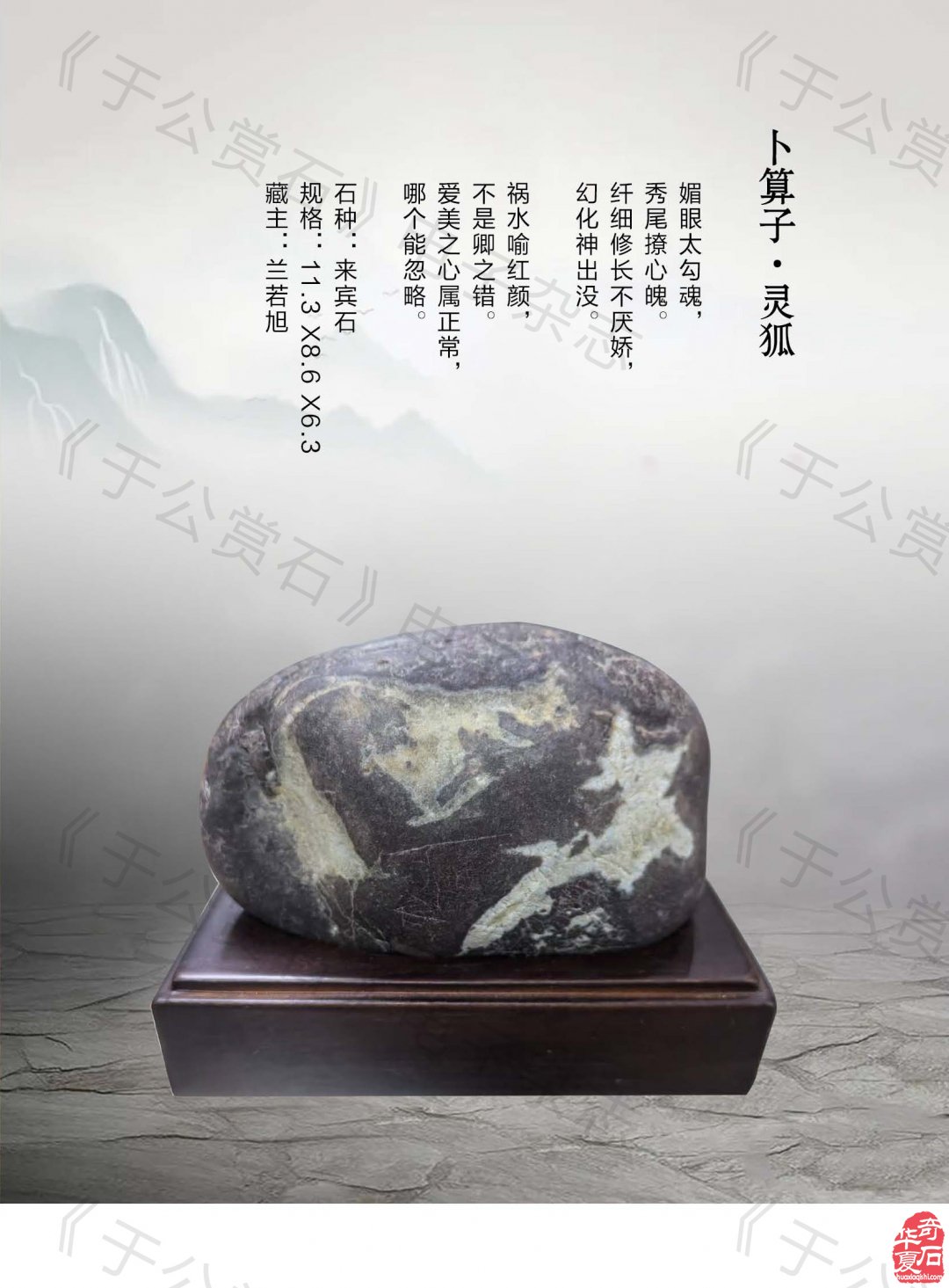 《于公赏石》盛赞石友云集的赏石盛会嗨翻初夏