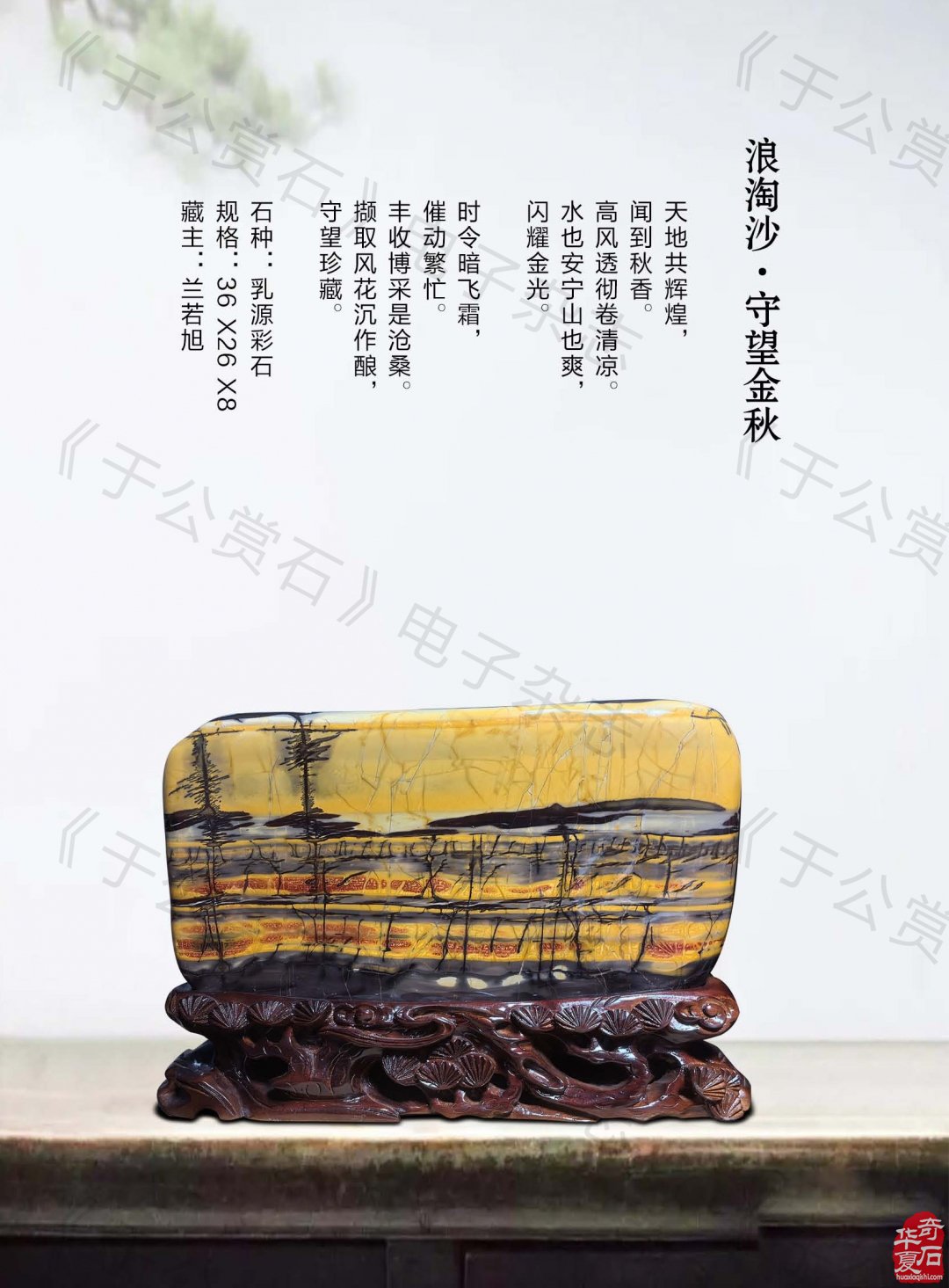 《于公赏石》盛赞石友云集的赏石盛会嗨翻初夏