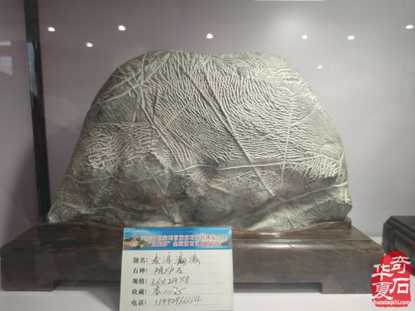 宝鸡首届赏石文化博览会金奖作品权威发布