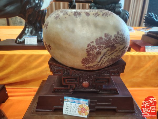 宝鸡首届赏石文化博览会金奖作品权威发布