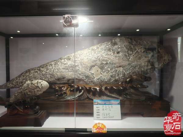 宝鸡首届赏石文化博览会金奖作品权威发布