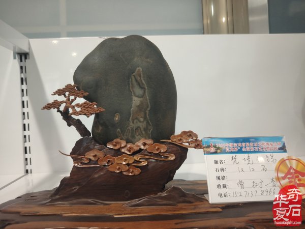 宝鸡首届赏石文化博览会金奖作品权威发布