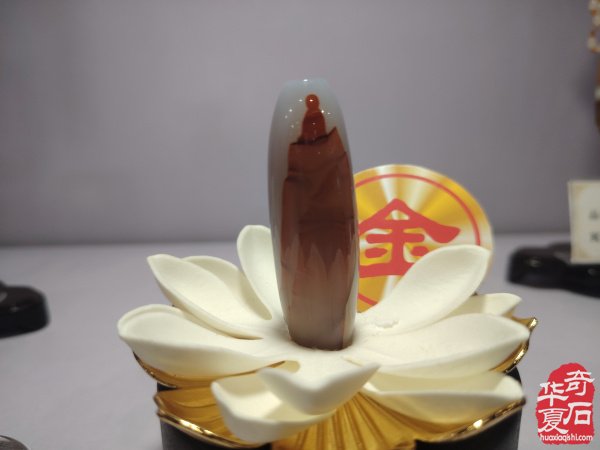 宝鸡首届赏石文化博览会金奖作品权威发布