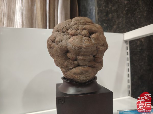 宝鸡首届赏石文化博览会金奖作品权威发布