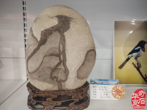 宝鸡首届赏石文化博览会金奖作品权威发布