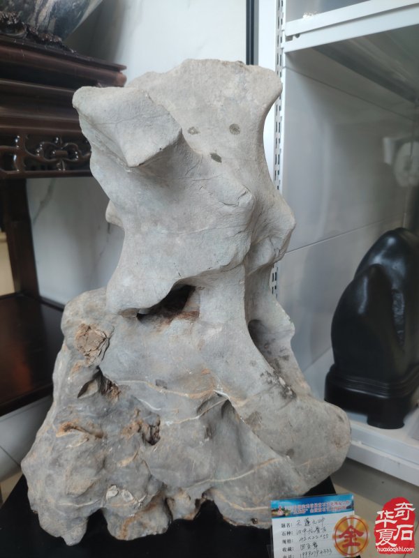 宝鸡首届赏石文化博览会金奖作品权威发布