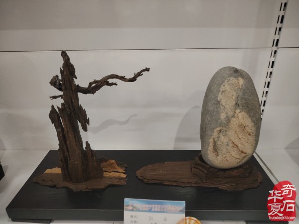 宝鸡首届赏石文化博览会金奖作品权威发布
