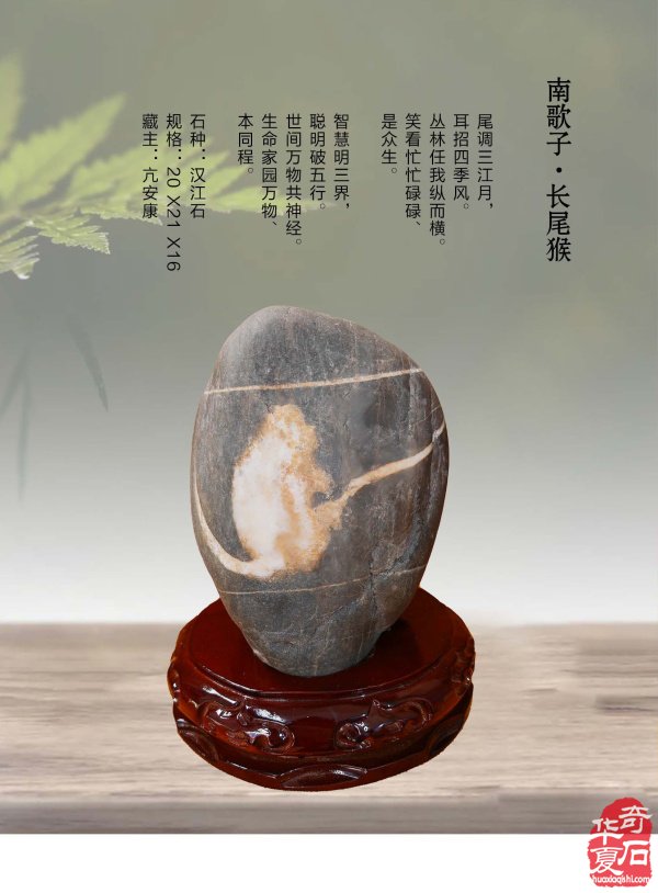 《于公赏石》电子版杂志新的一期上线了