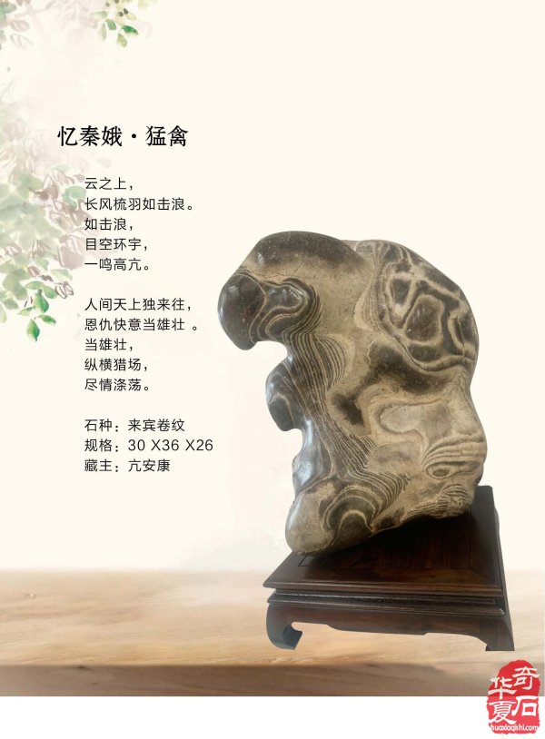《于公赏石》电子版杂志新的一期上线了