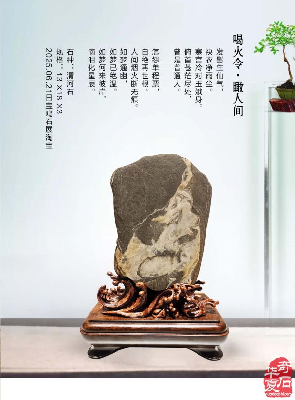 《于公赏石》电子版杂志新的一期上线了