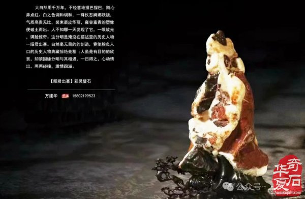 “黄果树杯”赏石艺术特色展，参展作品精彩亮相（第二集）