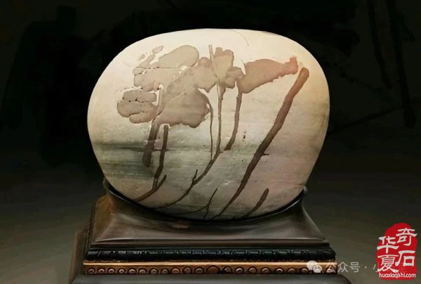“黄果树杯”赏石艺术特色展，参展作品精彩亮相（第二集）