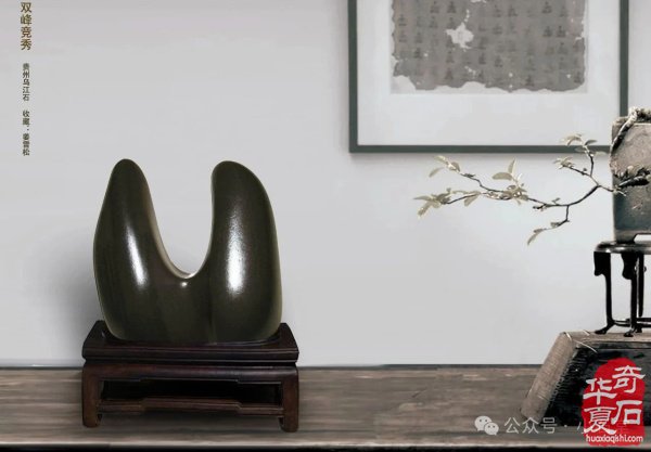 “黄果树杯”赏石艺术特色展，参展作品精彩亮相（第二集）