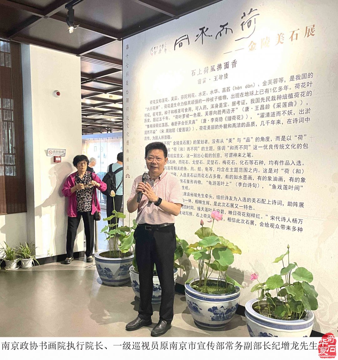 富有创意的“荷而不同”金陵美石展