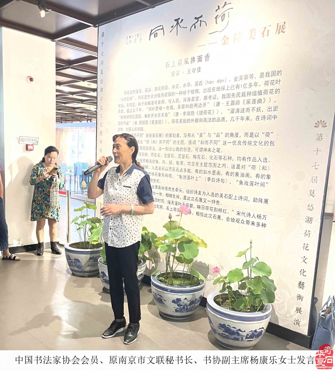 富有创意的“荷而不同”金陵美石展