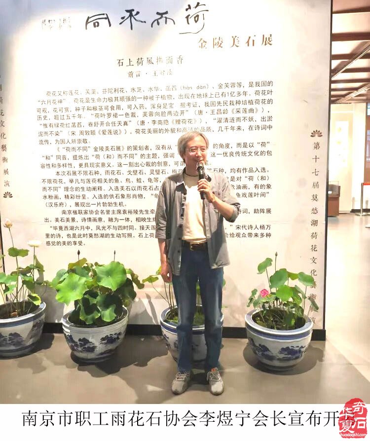 富有创意的“荷而不同”金陵美石展