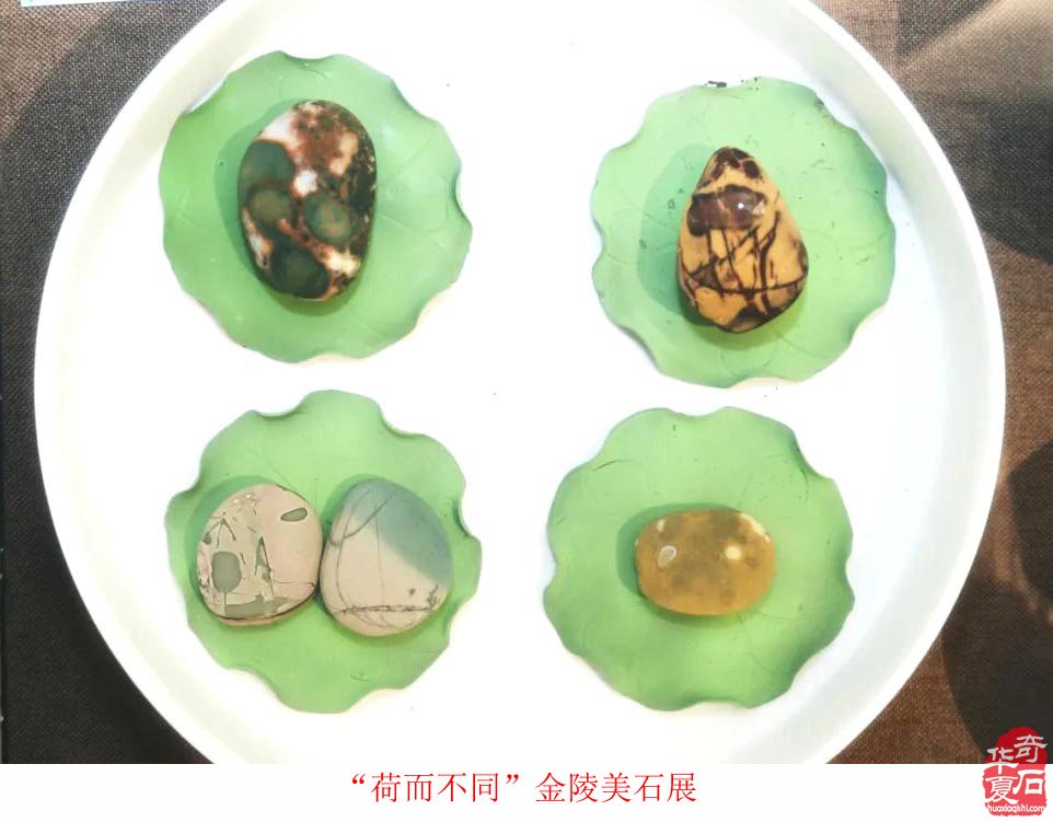 富有创意的“荷而不同”金陵美石展