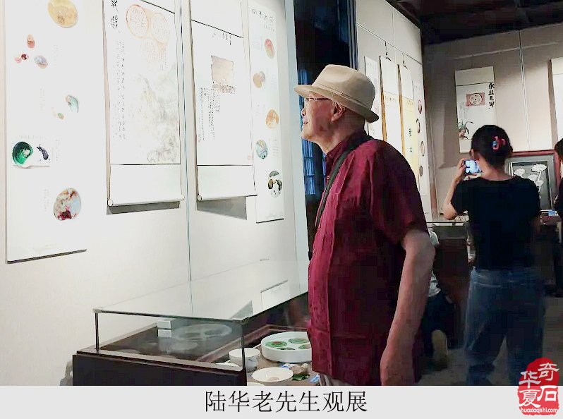 富有创意的“荷而不同”金陵美石展