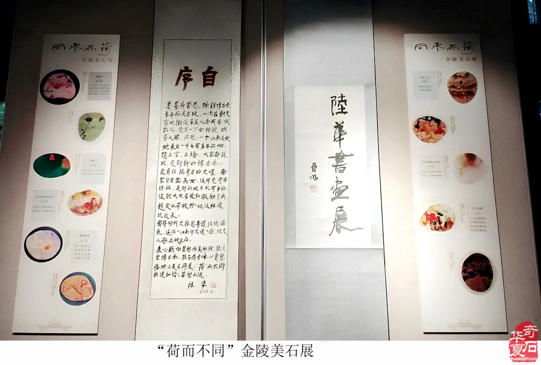 富有创意的“荷而不同”金陵美石展