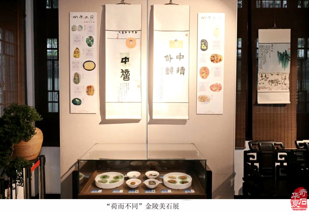 富有创意的“荷而不同”金陵美石展