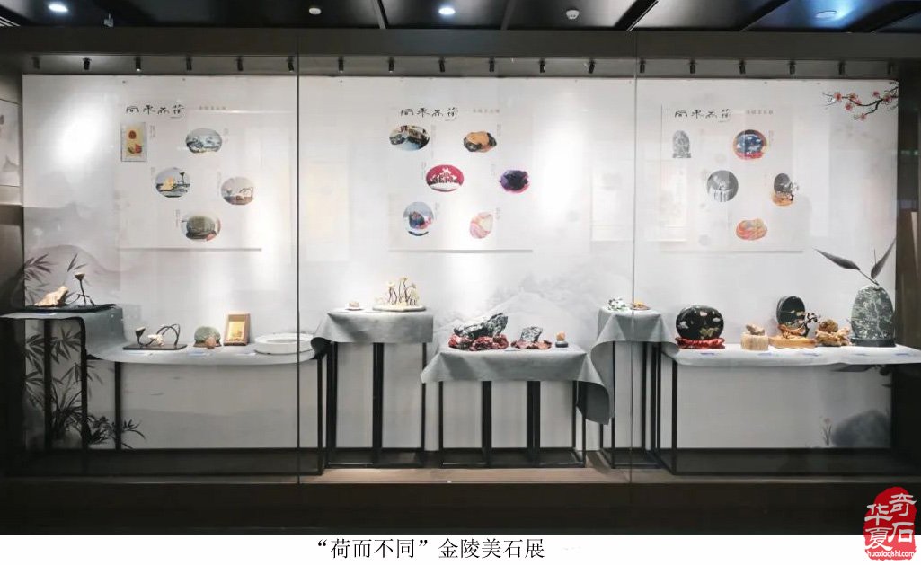 富有创意的“荷而不同”金陵美石展