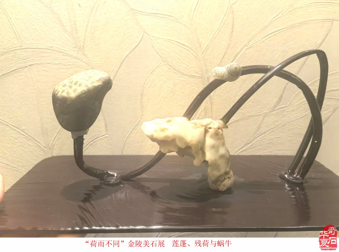 富有创意的“荷而不同”金陵美石展