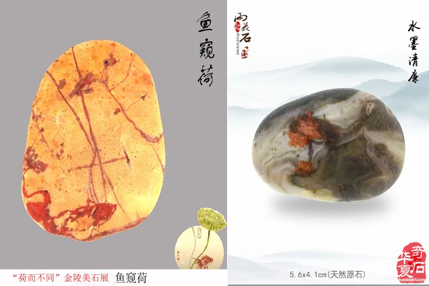富有创意的“荷而不同”金陵美石展