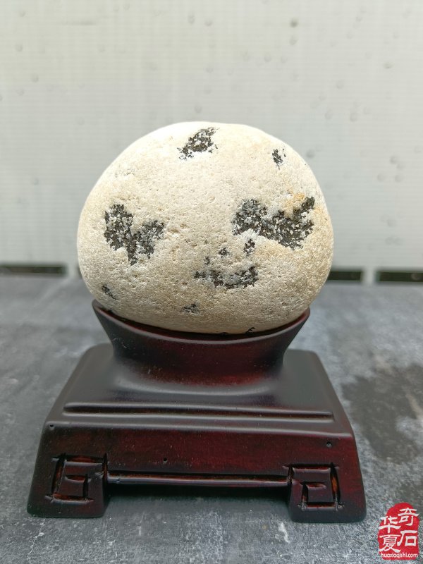 赴昆明国际石博会与全国石友共襄盛举