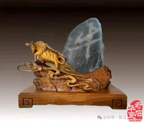 从钢枪到赏石——这位退役军人的“石缘“人生