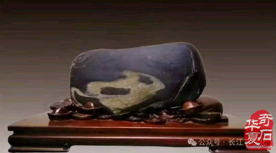 从钢枪到赏石——这位退役军人的“石缘“人生
